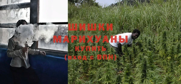 стаф Иннополис
