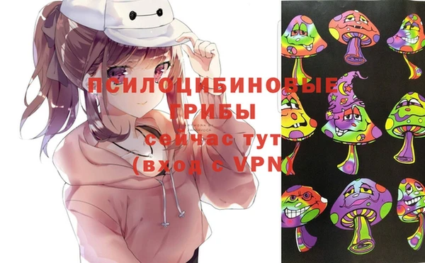 стаф Иннополис