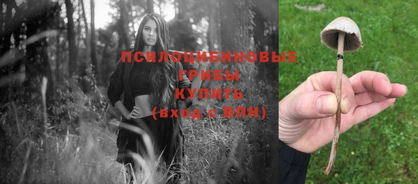 мескалин Инта